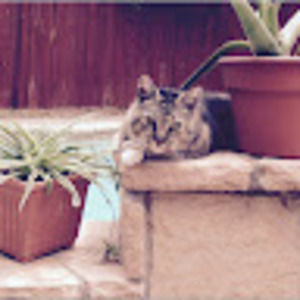 Meet your Posher, Kyra